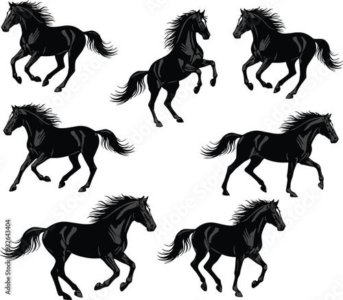 Black horse silhouette collection vector illustration, running and rearing stallion poses, wild mustang equine set, flat design animal icons isolated on white background
