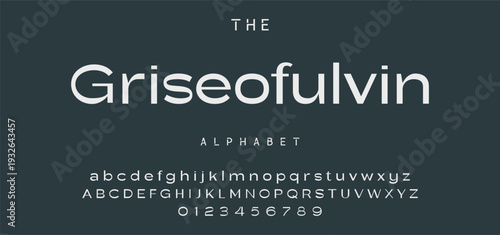 Elegant Font Uppercase Lowercase and Number. Classic Lettering Minimal Fashion Designs. Typography modern serif fonts regular decorative vintage concept. vector illustration