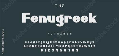 Elegant Font Uppercase Lowercase and Number. Classic Lettering Minimal Fashion Designs. Typography modern serif fonts regular decorative vintage concept. vector illustration