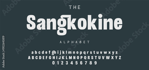 Elegant Font Uppercase Lowercase and Number. Classic Lettering Minimal Fashion Designs. Typography modern serif fonts regular decorative vintage concept. vector illustration