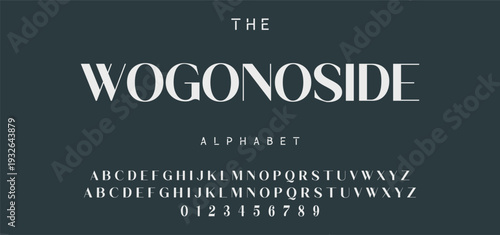 Elegant Font Uppercase Lowercase and Number. Classic Lettering Minimal Fashion Designs. Typography modern serif fonts regular decorative vintage concept. vector illustration