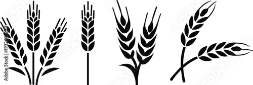 Set of black wheat ears silhouette icons for agriculture and bakery logo design vector illustration