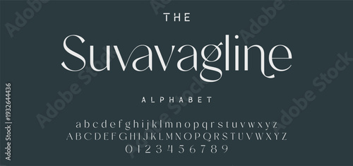 Elegant Font Uppercase Lowercase and Number. Classic Lettering Minimal Fashion Designs. Typography modern serif fonts regular decorative vintage concept. vector illustration
