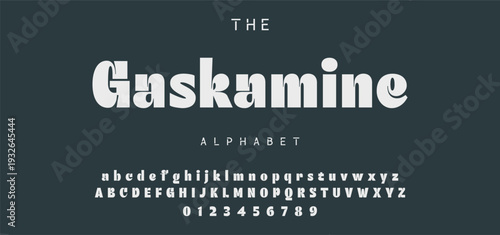 Elegant Font Uppercase Lowercase and Number. Classic Lettering Minimal Fashion Designs. Typography modern serif fonts regular decorative vintage concept. vector illustration