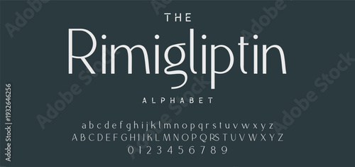 Elegant Font Uppercase Lowercase and Number. Classic Lettering Minimal Fashion Designs. Typography modern serif fonts regular decorative vintage concept. vector illustration
