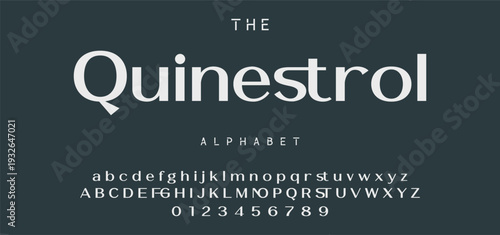 Elegant Font Uppercase Lowercase and Number. Classic Lettering Minimal Fashion Designs. Typography modern serif fonts regular decorative vintage concept. vector illustration