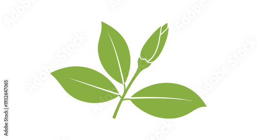 Minimalist green silhouette of a plant stem with several leaves and a budding flower head for various nature designs.