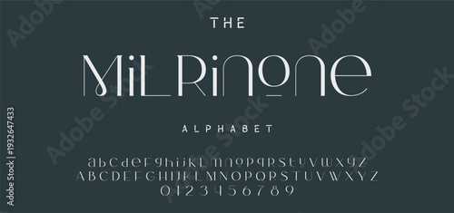 Elegant Font Uppercase Lowercase and Number. Classic Lettering Minimal Fashion Designs. Typography modern serif fonts regular decorative vintage concept. vector illustration