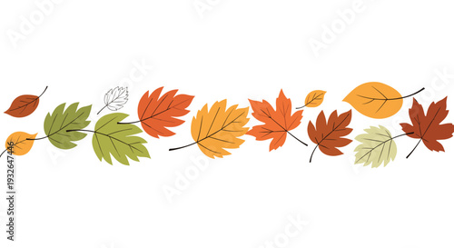 Horizontal border of various autumn leaves in warm colors like red orange and yellow for seasonal fall decorations.