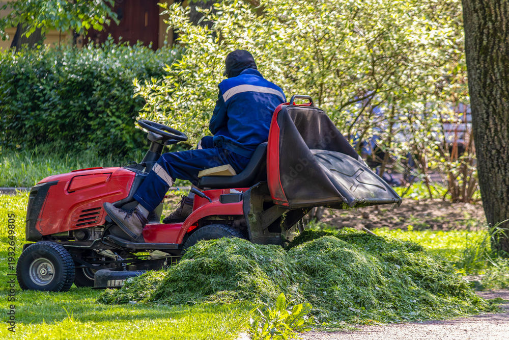 Fototapeta premium Worker performing efficient grass cutting with ride-on mower, conveying professionalism, routine upkeep, and landscape care. Scene highlights organized maintenance and outdoor labor.