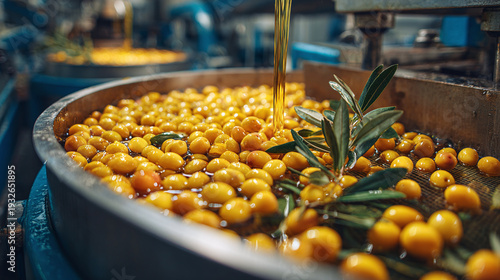 modern olive oil factory processing ripe olives through advanced industrial machinery to produce golden liquid with efficient workflow quality control and food industry technology