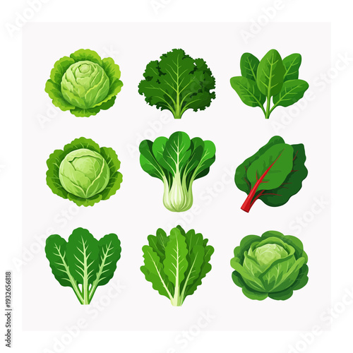 Green Leafy Vegetable Icons: Cabbage, Spinach, and Bok Choy