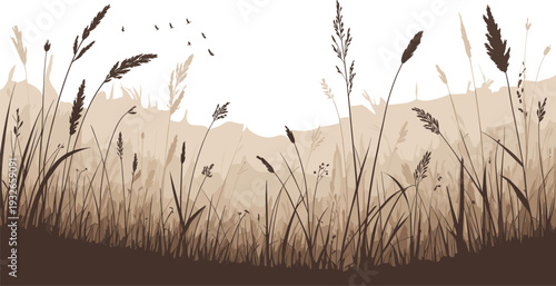 Tall brown grass field with distant hills under a white sky tall grass