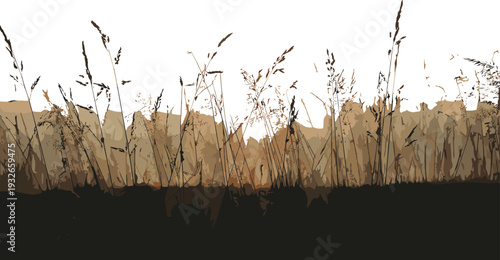 Tall dried grasses with a blurred background of light and shadow patterns plants nature