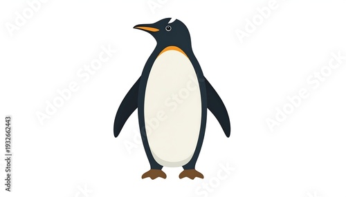 Gentoo penguin illustration standing tall against a white background.