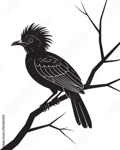 Stylized Black Bird Perched on Branch Silhouette