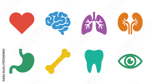 Body Organs Icon Set – Medical Illustrations Featuring Heart, Brain, Lungs, Kidney, Stomach, Bone, Tooth, and Eye for Healthcare Graphics and Educational Projects