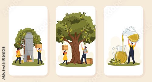 Sequence of illustrations depicting the process of olive oil production from harvesting trees to pressing and pouring the final product.