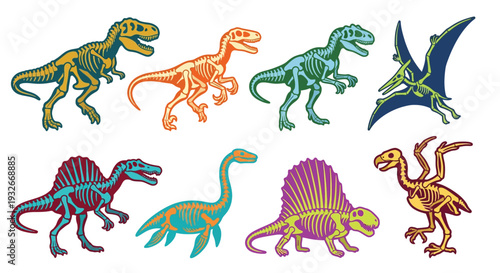Colorful cartoon depictions of various dinosaur and pterosaur skeletons