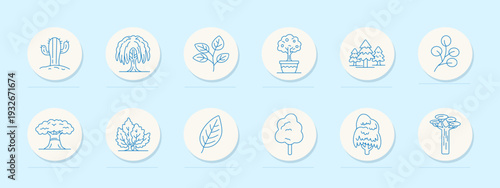 Trees and plants set icon. Cactus, willow, branch leaves, potted tree, pine forest, shrubs, oak, maple, single leaf, bare trunk outline collection.