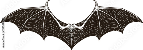 Vintage bat engraving vector illustration with spread wings and detailed line art animal design for Halloween, gothic posters, tattoos, logos, and dark fantasy artwork
