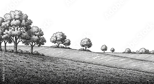 Serene landscape illustration with trees, fields, and hay bales viewed from a distance