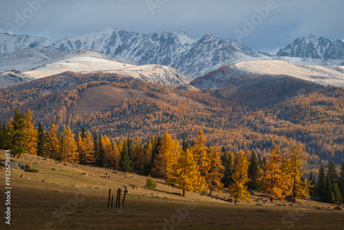 Wallpaper Mural Vivid autumn landscape featuring golden foliage trees at foothills of snowy mountains during daylight. Torontodigital.ca