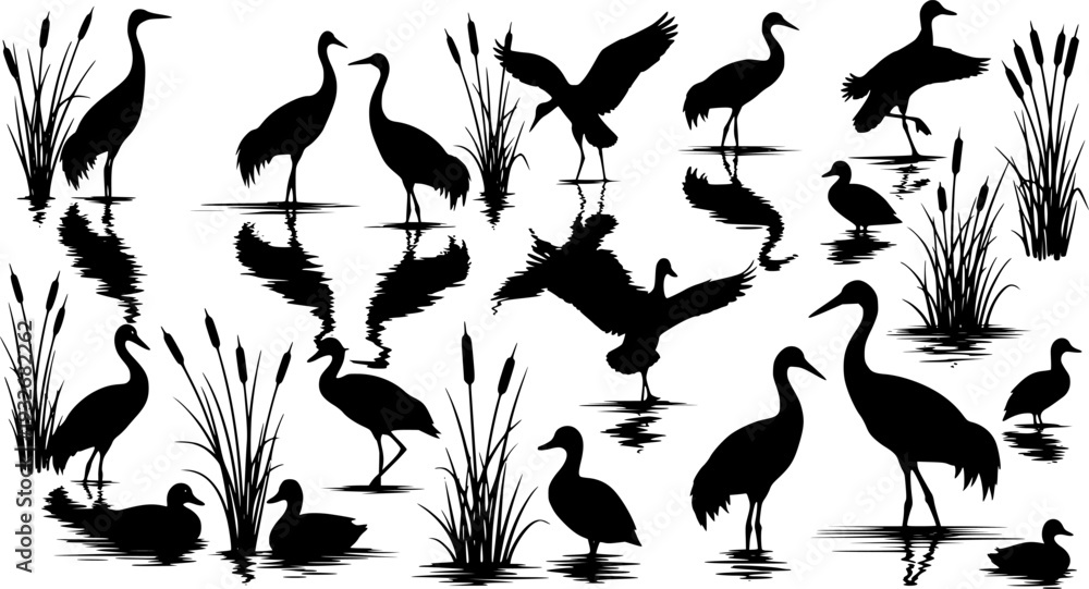 Naklejka premium Water Bird Silhouette Set - Heron, Crane, and Duck Wildlife Vector Collection