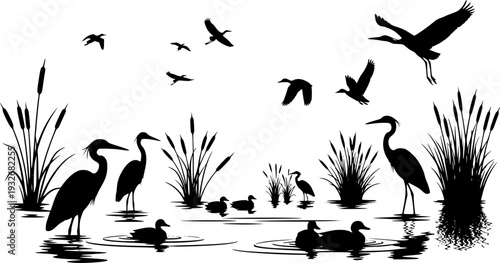 Water Bird Silhouette Set - Heron, Crane, and Duck Wildlife Vector Collection