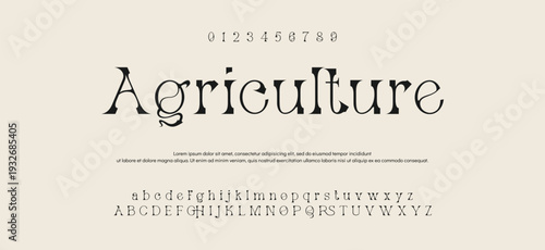 Elegant ligature alphabet letters font logo. Typography luxury classic lettering serif fonts decorative wedding vintage retro logos, design for fashion,beauty shop and brand . vector illustration