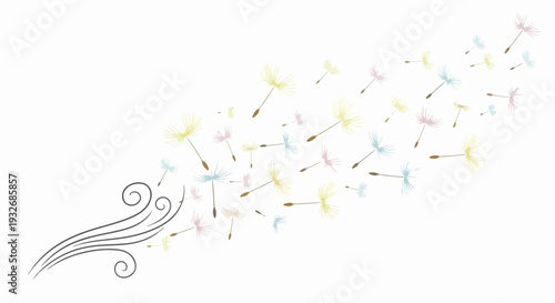 Colorful dandelion seeds blowing away from stylized wind illustration on clean white background. Various pastel hued dandelion seeds float freely, symbolizing freedom and wishes.