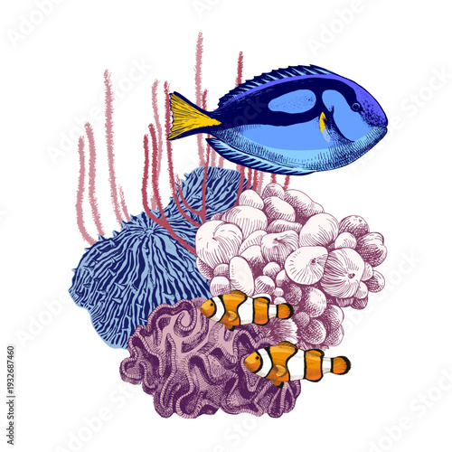 Hand drawn coral reef. Underwater life sketch