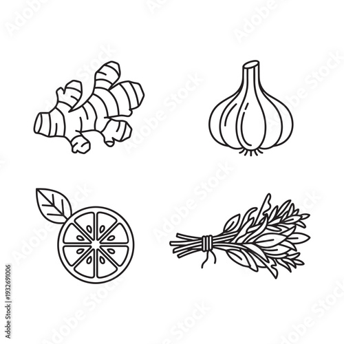 Collection of simple line art icons for ginger, garlic, lemon, and herbs