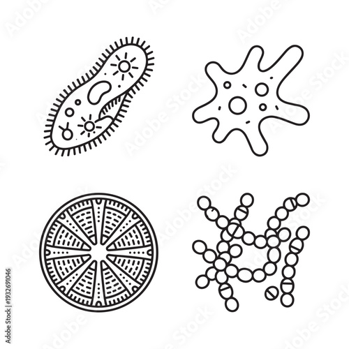 Collection of simple line art illustrations of different microorganisms and cells
