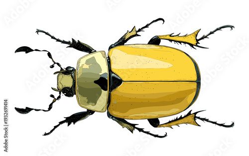 Detailed illustration of a vibrant yellow scarab beetle with black accents and spiky legs