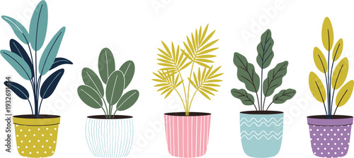 Modern houseplant collection in decorative pots with colorful indoor foliage flat vector illustration set isolated on dark background