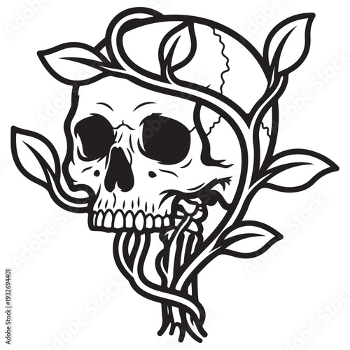 Human skull entwined with growing vines and leaves illustration, black and white line art depicting the cycle of life and death, gothic memento mori tattoo design isolated on white background.