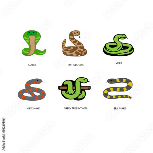 DIFFERENT SNAKES ICON SHEET
