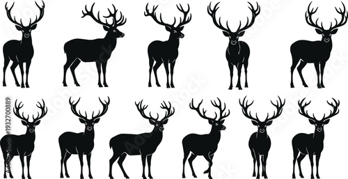 Set of elegant black deer silhouettes with large antlers standing in various poses isolated on white background for nature wildlife design