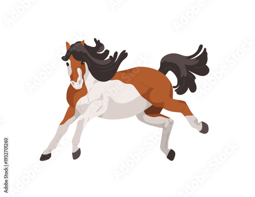 Pony, small dwarf horse. Active foal running, jumping, frolicking. Thoroughbred equine animal in movement, action, galloping with energy. Flat vector illustration isolated on white background