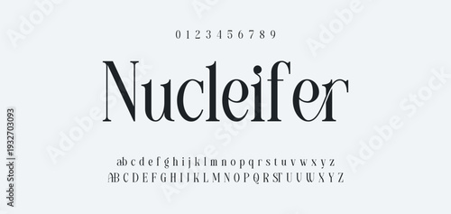 Elegant Font Uppercase Lowercase and Number. Classic Lettering Minimal Fashion Designs. Typography modern serif fonts regular decorative vintage concept. vector illustration