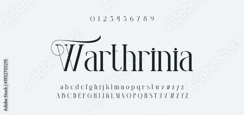 Elegant Font Uppercase Lowercase and Number. Classic Lettering Minimal Fashion Designs. Typography modern serif fonts regular decorative vintage concept. vector illustration