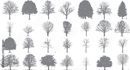 Collection of grey tree silhouettes in various shapes and sizes on a white background nature plant