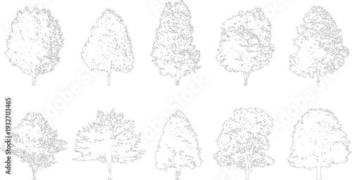 Ten black and white line of various deciduous trees with detailed foliage patterns outline