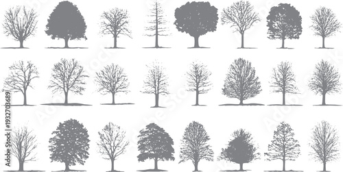 Collection of twenty diverse grey tree silhouettes with varied branch structures and foliage density on a white background