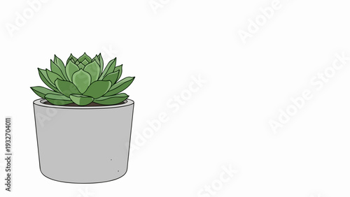 Green succulent plant with thick, fleshy leaves sits neatly in simple gray pot. Compact succulent plant offers minimal aesthetic, perfect for interior design or office decor element.