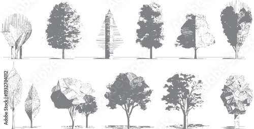 Collection of ten stylized grey trees with varied textures and forms nature plant foliage