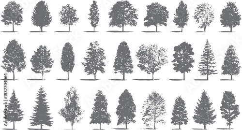 Collection of diverse grey tree silhouettes with detailed foliage and distinct shapes nature