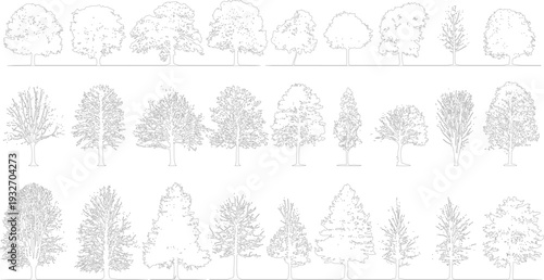 Collection of diverse tree outlines in black and white on a white background nature