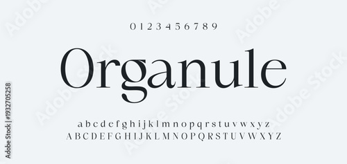 Elegant Font Uppercase Lowercase and Number. Classic Lettering Minimal Fashion Designs. Typography modern serif fonts regular decorative vintage concept. vector illustration